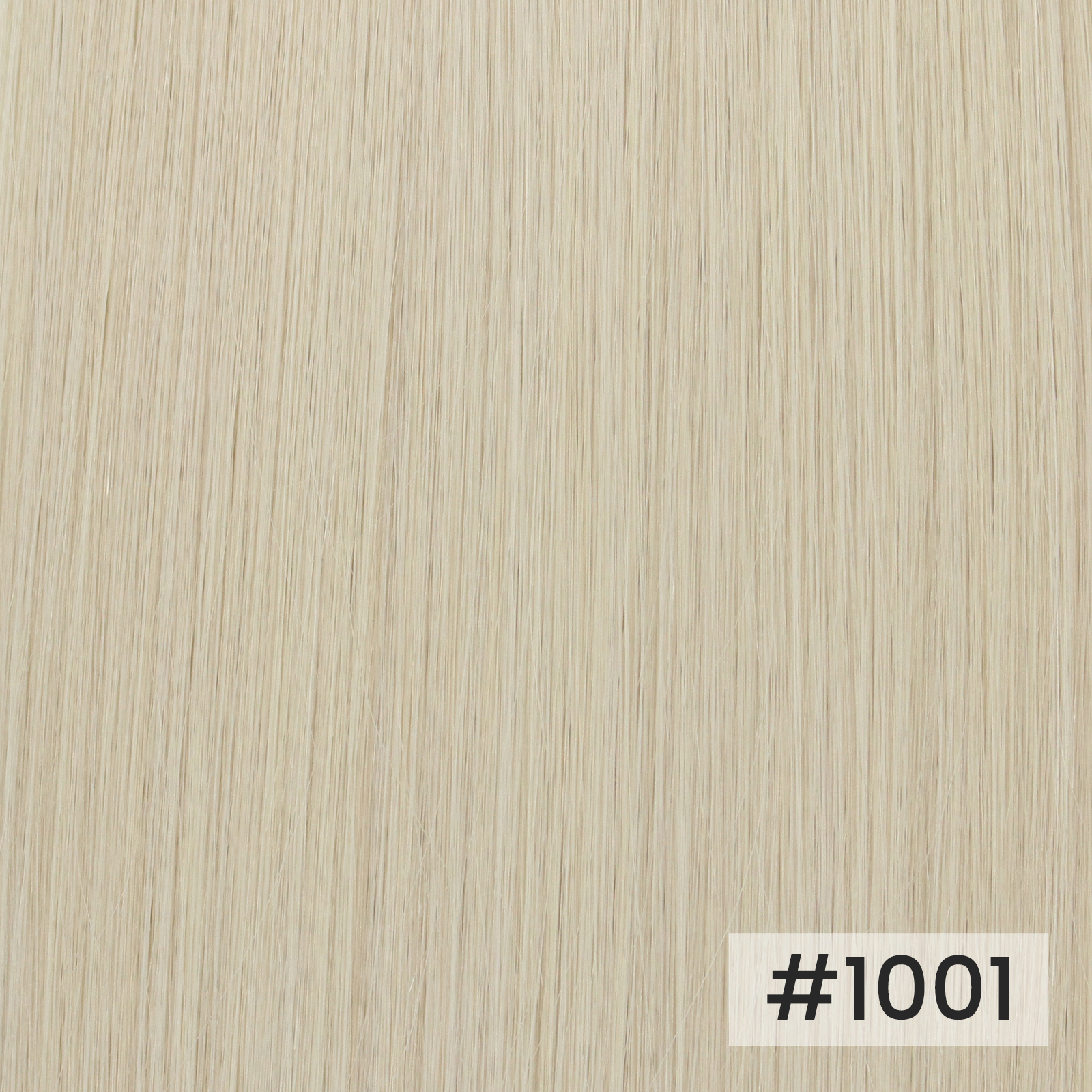 #1001