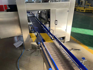 Top <strong>Load</strong> <strong>Robotic</strong> Case Packer with Vision Positioning <strong>System</strong> and Auto Correction Function - Product Image 5