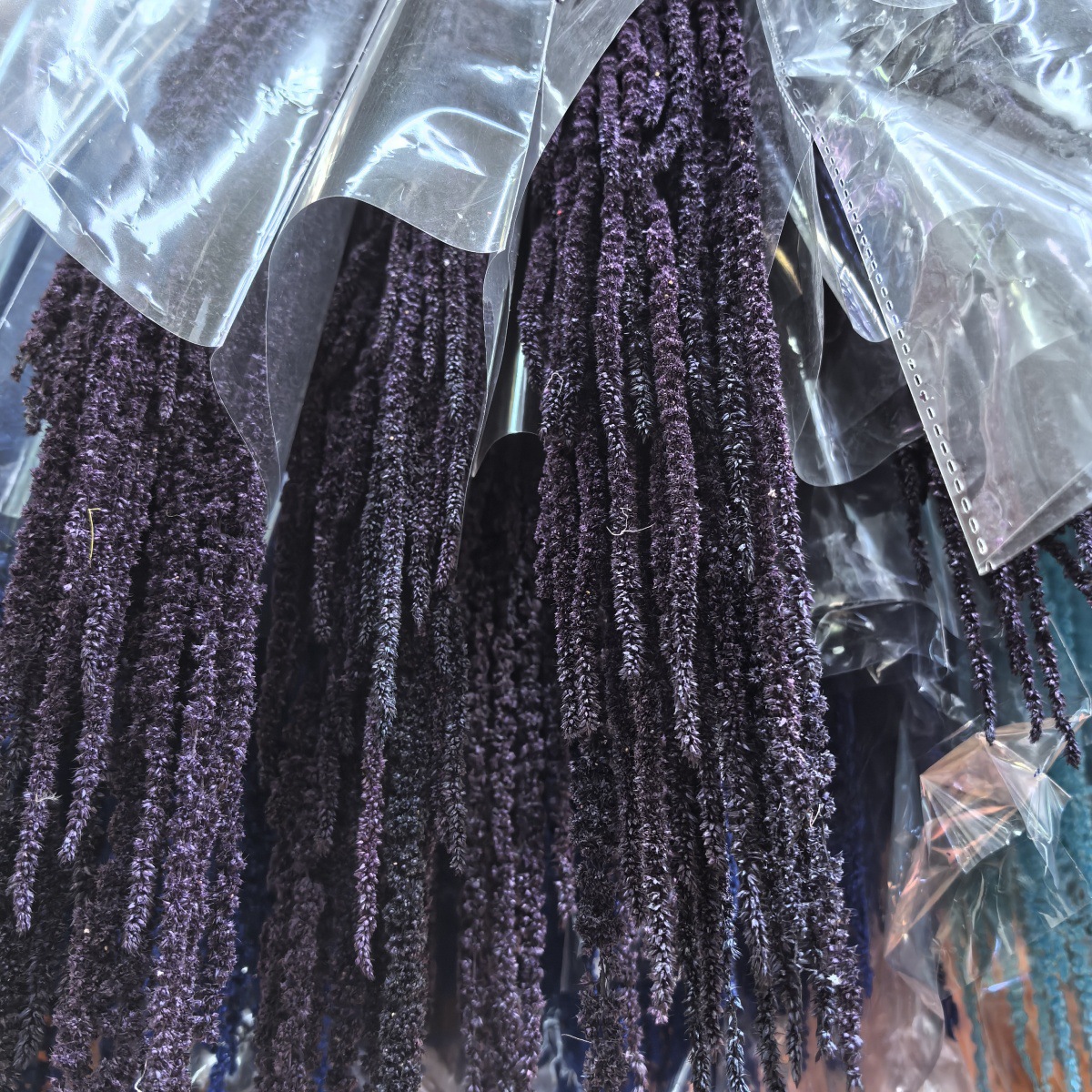 Pourpre