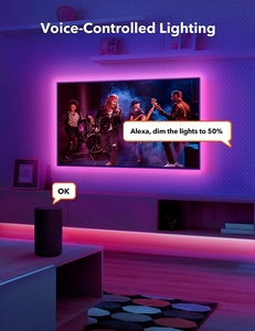 スマートWiFiマルチカラーLEDストリップライトIP65アルミニウム音楽制御ロープライト、タイマー付き、屋外用リモート - Product Image 2