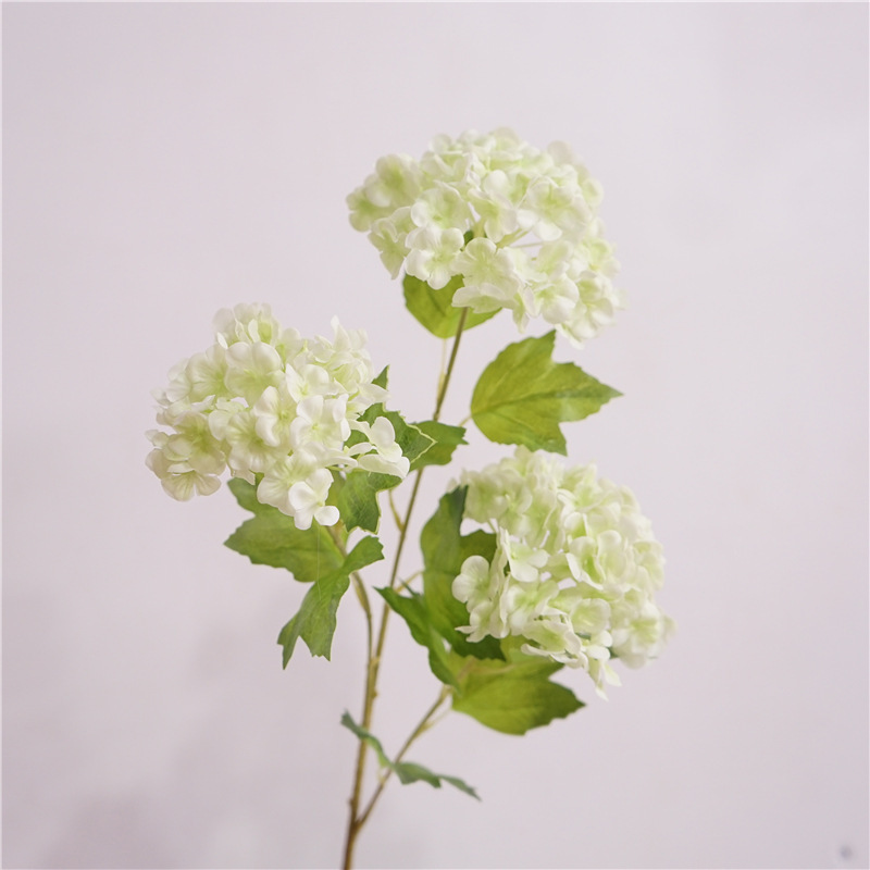 Film petite boule de neige-blanc vert