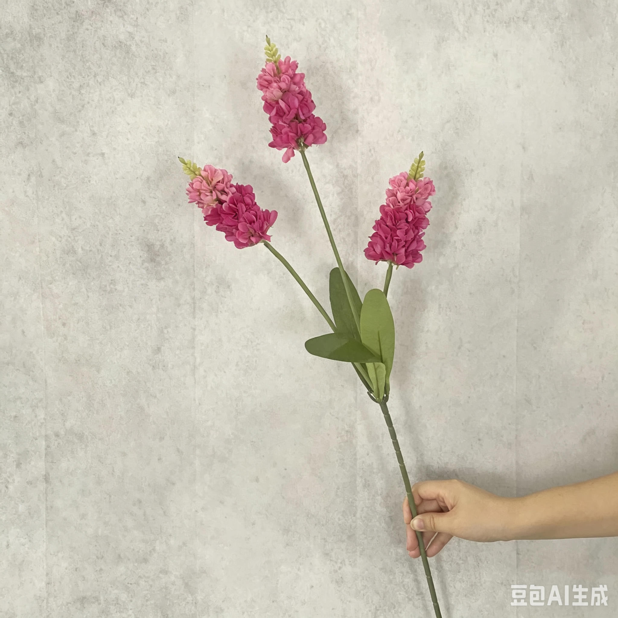 3-pronged hyacinth
