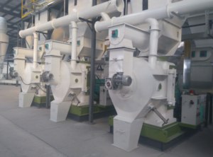 40 toneladas por hora Turquía Nuevo tipo Molino de pellets de madera Línea de producción de máquinas con sistema de control por computadora - Product Image 2