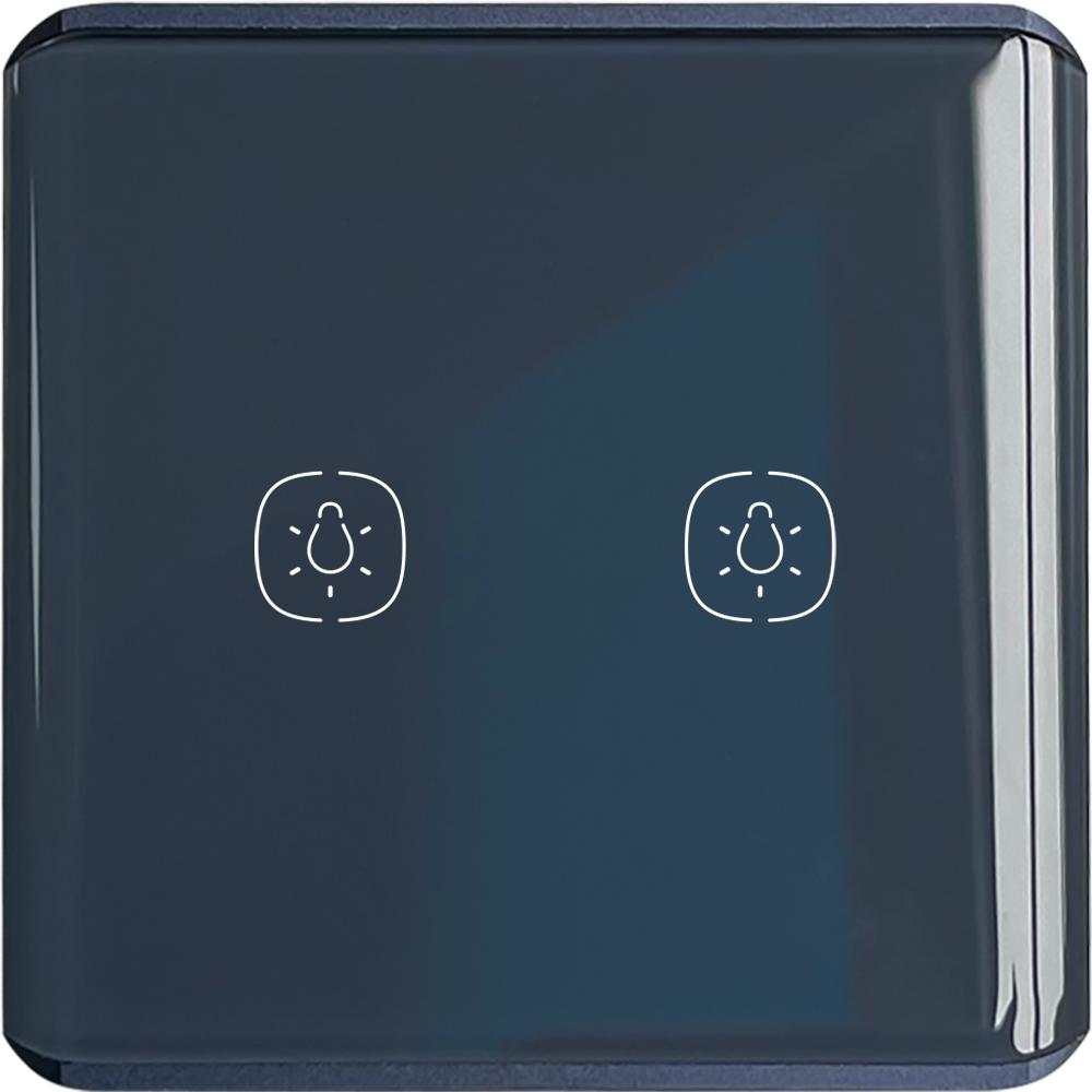 2gang Lighting switch-Vivid Blue