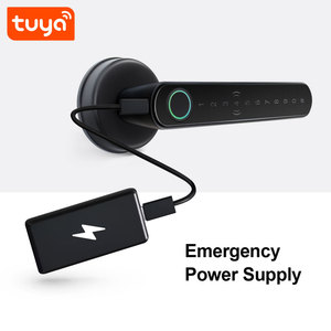 High Quality Fingerprint, IC, <strong>Key</strong>, Password, App Unlock Tuya Wifi Smart <strong>Blue</strong>-tooth Door <strong>Lock</strong> With IC Card Function PST-C6-11 - Product Image 3