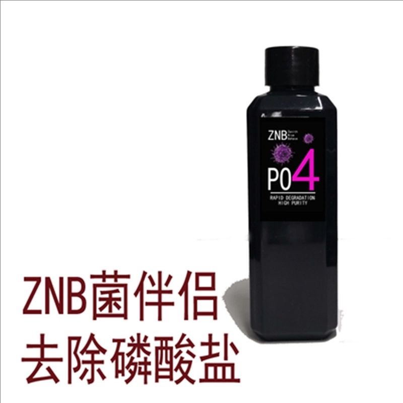 Znb totipotent bacteria companion 100ml