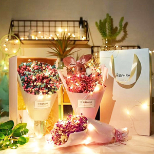 Hot Sale 1M 10LEDs/2M 20LEDs/3M 30LEDs Fairy <strong>String</strong> <strong>Lights</strong> CR2032 Battery Operated <strong>Mini</strong> LED Starry <strong>Lights</strong> <strong>String</strong> for Wedding - Product Image 5