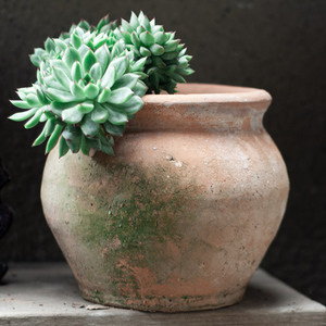 Açık kullanım için el yapımı büyük Terracotta saksı basit tasarım nefes özelliği yosun ve Bonsai ekimi için Ideal - Product Image 2