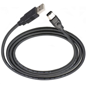 Firewire IEEE 1394 6针公到USB 2.0公适配器转换器电缆线，用于高清视频和音频传输 - Product Image 6