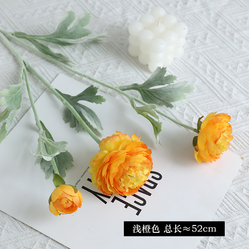 #7 light orange