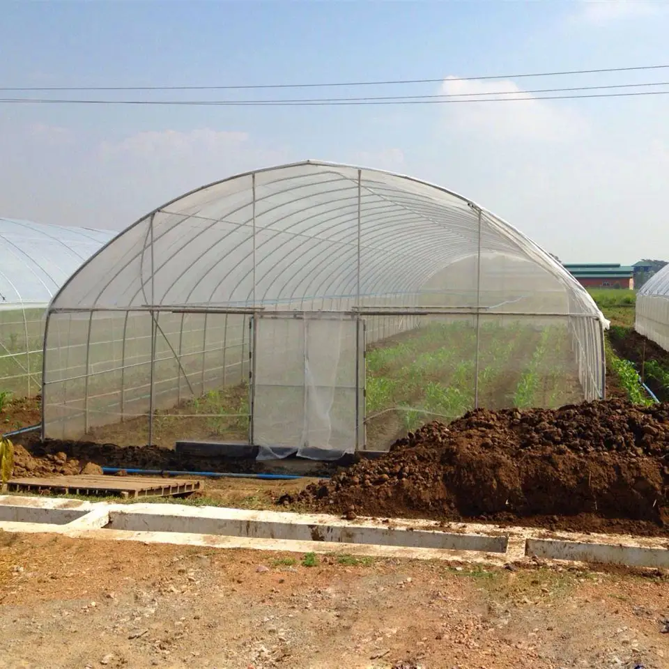 Invernadero de Metal para agricultura, invernadero de una sola pieza para verduras