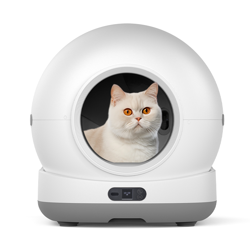 Bianco