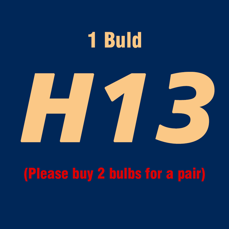 H13