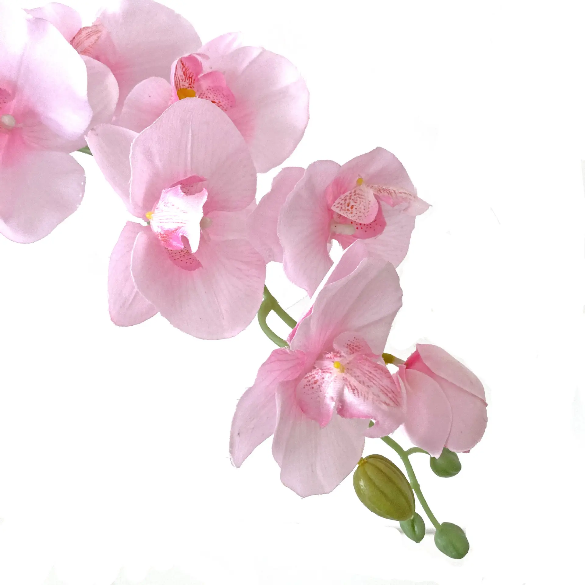 Borboleta orquídea branca flores artificiais, verdadeiro, toque, para restaurante, casa, decoração de jardim