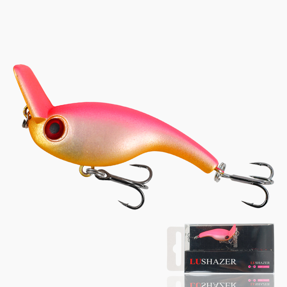 Orange back pink belly