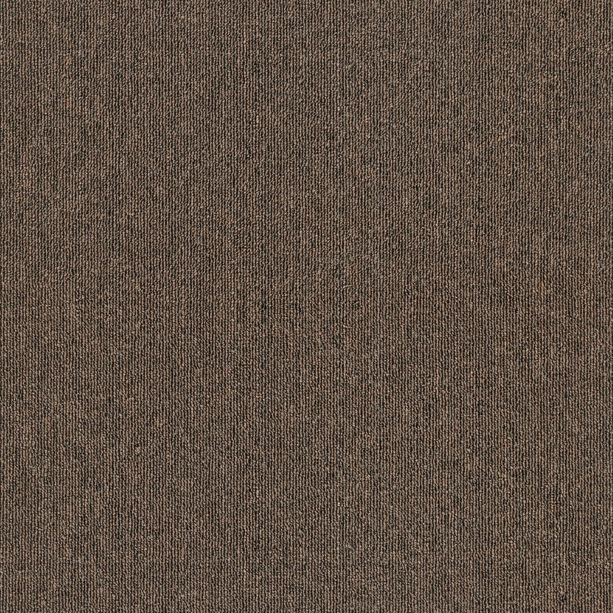 MDL08