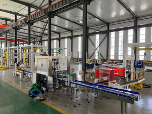 <strong>Robotic</strong> Case Packer <strong>Machine</strong> with Vision <strong>System</strong> for Precise Positioning and Gentle Product Handling - Product Image 4