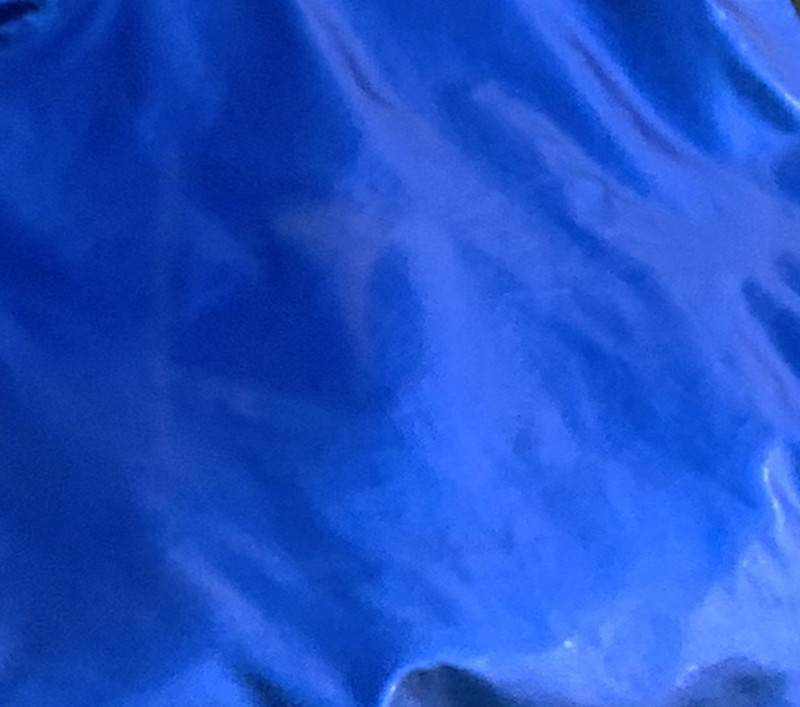 Azul real