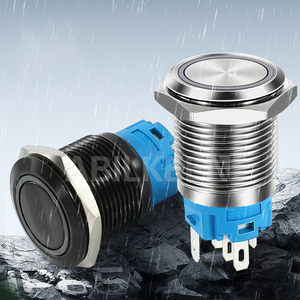 Interrupteur à bouton-poussoir LED à anneau 16mm 1NO1NC Interrupteur momentané Matel 12V 24V 220V Bouton-poussoir - Product Image 2