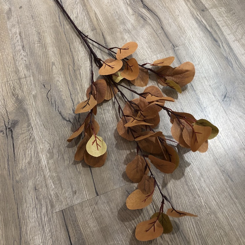 Feuilles de pomme brunes