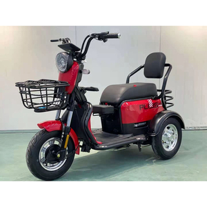 2022 הטוב ביותר בטיחות ופופולרי 48V 500W חשמלי תלת אופן עבור מטען