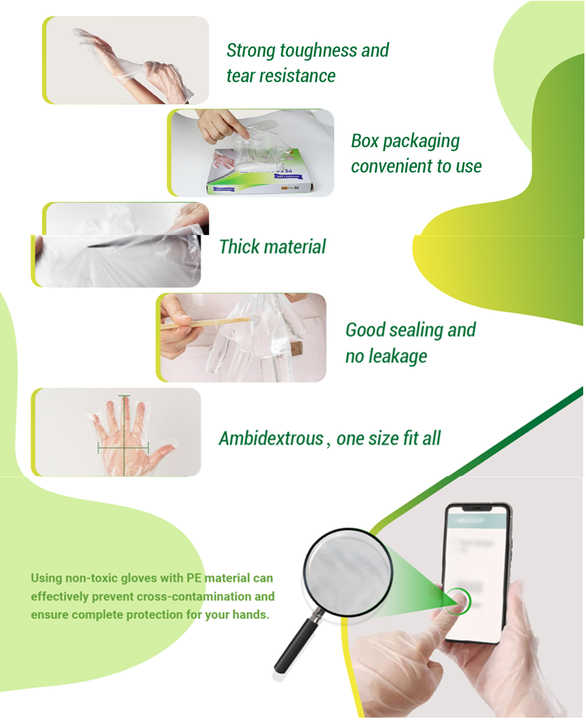 Disposable Poly Gloves Powder Free Multi-Purpose Polyethylene Gloves Suitable for Handling Frozen Food