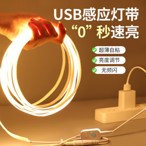 1M 2M 3M 5V COB <strong>LED</strong> Strip Light With 2Pin USB Battery Box Switch Touch Dimmer Hand Sweep PIR Motion Sensor Cable - Product Image 5