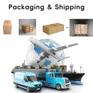 Factory Supplies High Precision Customized According to Drawings Stainless Steels Aluminum Small Pinion Helical Gear