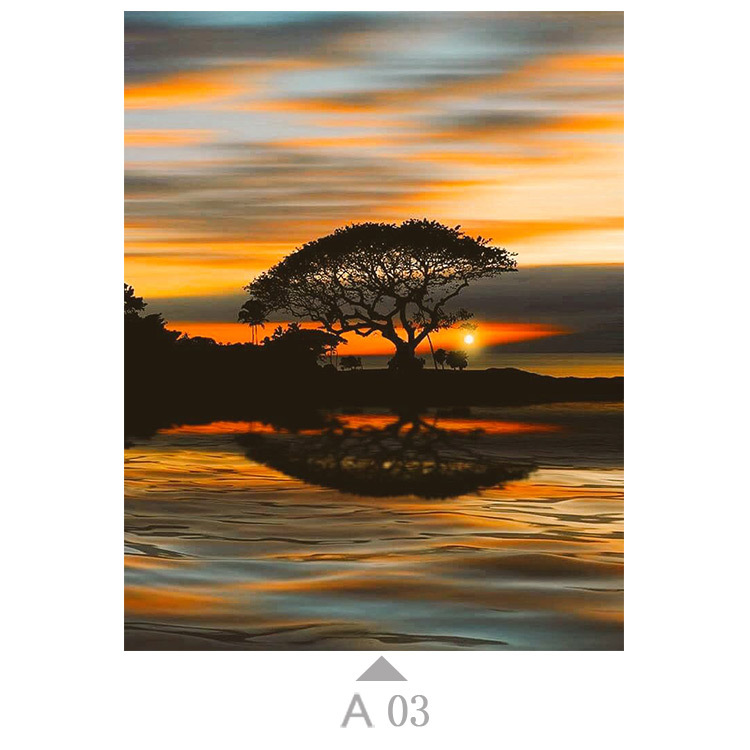 Multicolor-A03