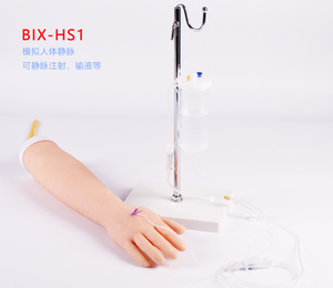 <strong>Medica</strong> Science Teaching Models Venipuncture and Blood Drawing Teaching Model for Learning and Teaching - Product Image 2