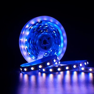 Innen beleuchtung 60 Lichter/M 5050 LED mit hoher Helligkeit Dekorativer flexibler Streifen 5-in-1-RGBCCT-Smart-Licht 12V/24V für die Landschaft