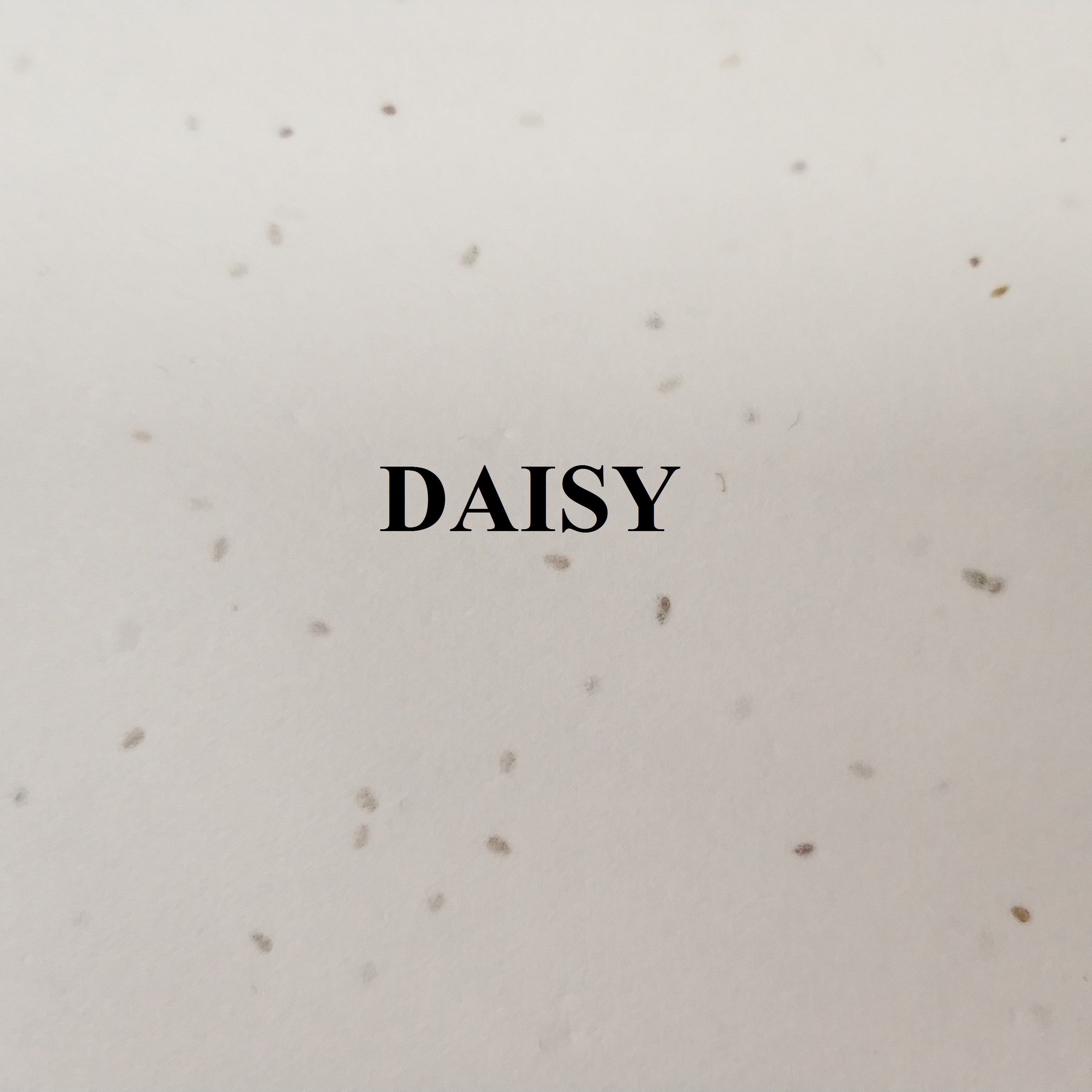 DAISY