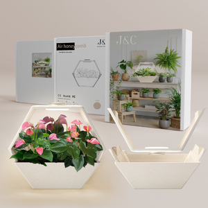 智能室内植物生长系统，带自动吸收锅生态友好材料植物箱，带轻质草药种植者