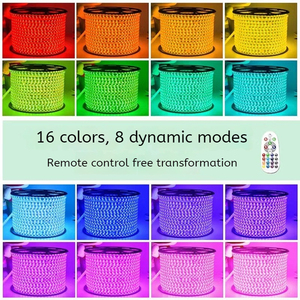 220V 60Chips/m Flexibles Band Farbwechsel LED-Leuchten Streifen LED 5050 RGB Smart LED-Streifen/LED-Streifen - Product Image 4