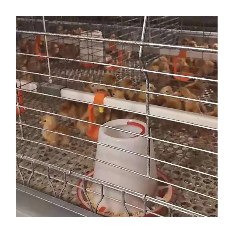 Modern durable poultry farm chicken cage for sale