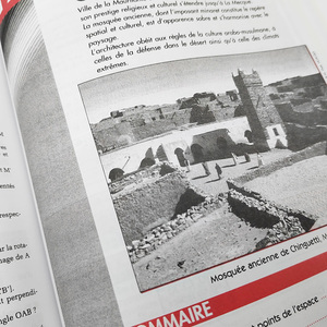 Günstiger Preis Benutzer definierter Massen druck A4 Papier Flyer Katalog Broschüre Broschüre Bedienungs anleitung Drucken