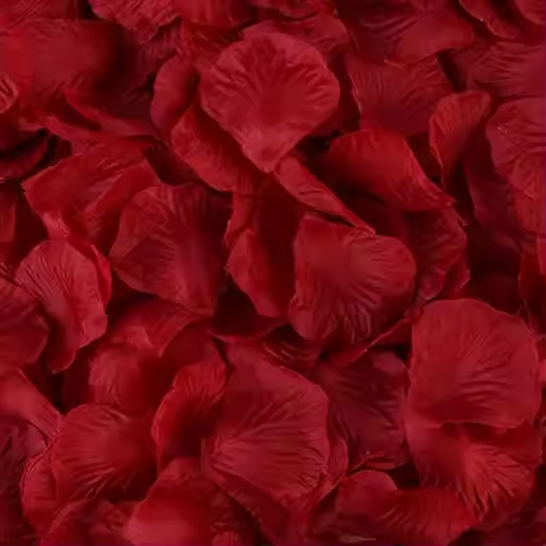 Rose garance