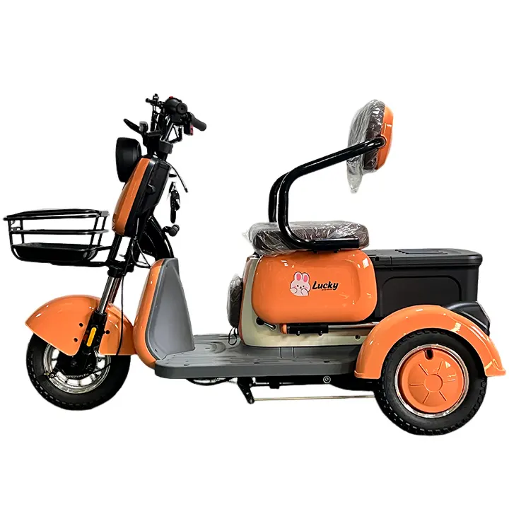 Moto mobilità Scooter E-bike 3 ruote bici elettrica tre ruote Cargo triciclo elettrico