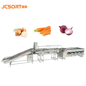 JC SORTオニオンサイズグレーディングマシン野菜ソーターオニオンサイジング分類装置自動ライン