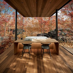 Sanhai Japanese Modern Architecture Design <strong>Resort</strong> 3D Rendering Hotel Private Residential Professional Space Master PLan Service - Product Image 6