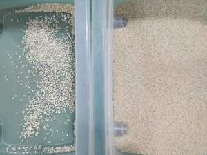 Máquina de clasificación de color de arroz roto de bajo consumo de alta resolución, separador selector de color de arroz para molino de arroz - Product Image 5
