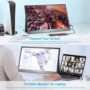Raspberry Pi 3 USB-Computer mit 1920*1080 Full HD 17,3-Zoll-HDR-Monitor IPS-Panel Typ-C-Auflösung - Product Image 5