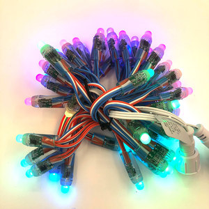 ルミナスキャラクターホリデーデコレーションプロジェクト用のフルカラー露出ライトストリング5v12v LEDピクセルピオントライト - Product Image 2