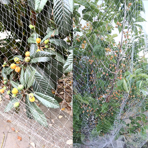 Farm Orchard Fruit Tree Bush Mango Cherry Tree Grape Vine Fruit Tree Protection 25mm*25mm Mesh Size White Anti <strong>Bird</strong> Net