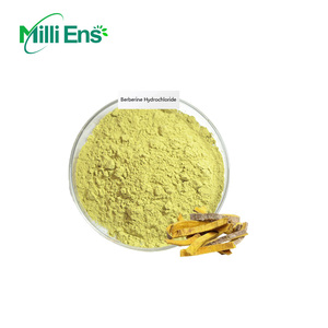 Prezzo di fabbrica estratto di erbe berberina cloridrato in polvere estratto di berberina corteccia Phellodendri estratto - Product Image 2