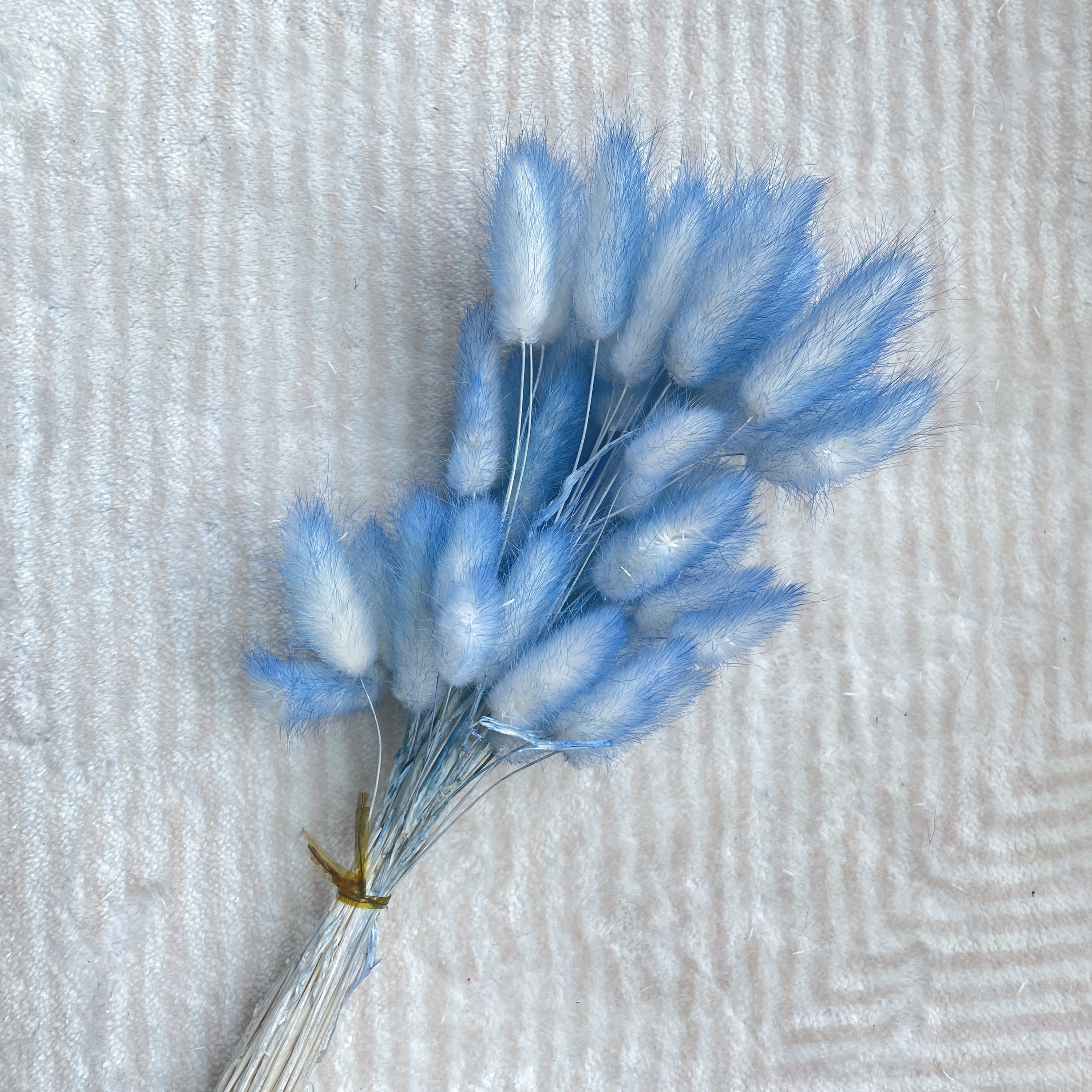 Bleu2