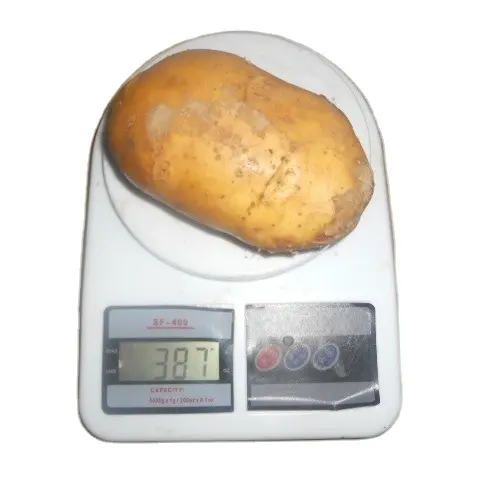 Acheter des pommes de terre fraîches 2022 neuves Offre Spéciale/pakistan prix des pommes de terre