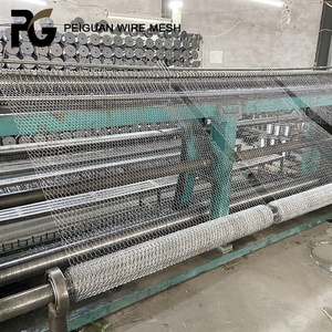 In Acciaio zincato Del Tessuto Pollame Compensazione Esagonale Wire Mesh Maglia di Filo di Pollo Filippine - Product Image 6