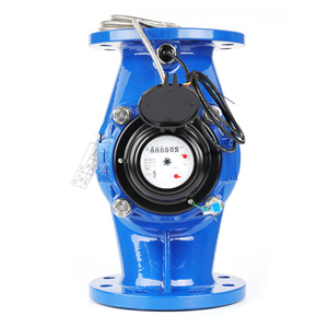 מד מים קרים וחמים מברזל יצוק עם חיבור אוגן, בעל להבים ספירליים ניתקים אנכית, DN50/DN300 R200, תקן IP68 - Product Image 1