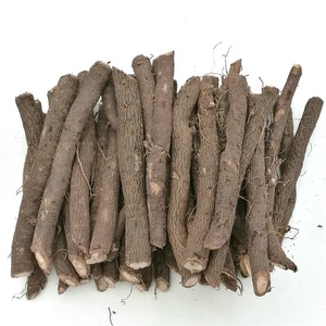 Bảng Gỗ Nguyên Khối Tăng Trưởng Gốc Paulownia FTE Trung Quốc Pao Tong Để Làm Đồ Nội Thất Và Cảnh Quan - Product Image 1